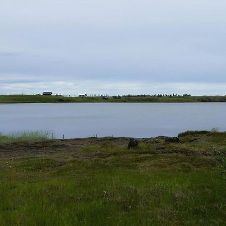 Lakeview Cabin Near Kirkjubæjarklaustur מראה חיצוני תמונה