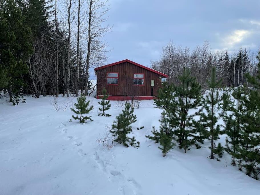 Lakeview Cabin Near Kirkjubæjarklaustur מראה חיצוני תמונה